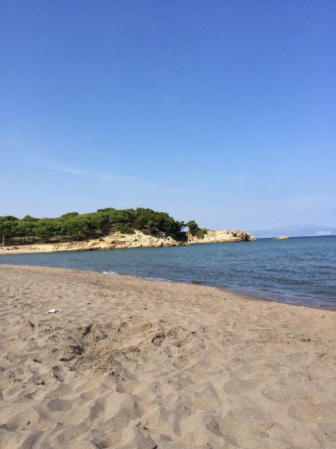 2 Bedroom Apartment In The Old Town, Close To The Beach L' Escala Buitenkant foto